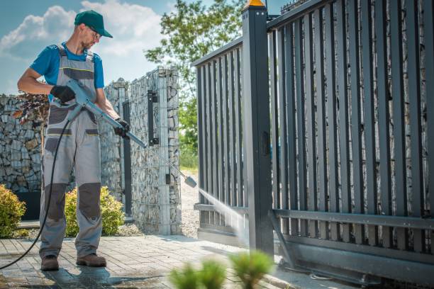 Best Roof Washing  in Wayne City, IL