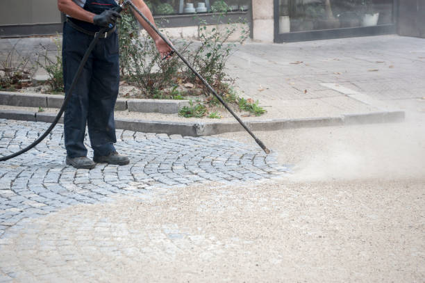 Best Winterizing Services  in Wayne City, IL