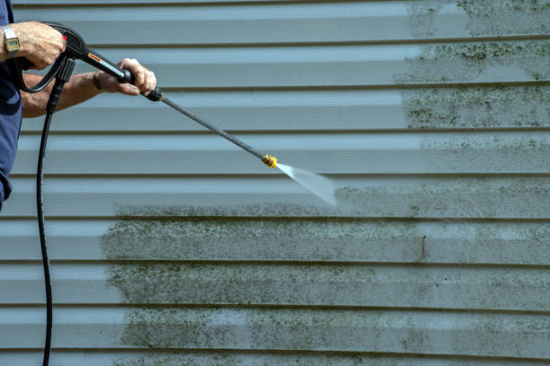 Best Concrete Sealing  in Wayne City, IL