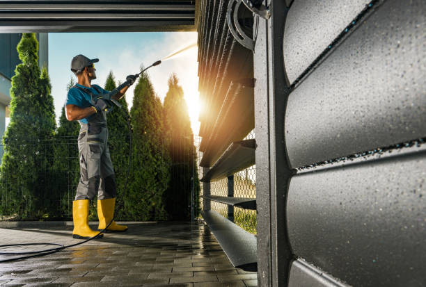 Best Driveway Pressure Washing  in Wayne City, IL
